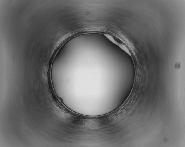 X0000100210107200806131301