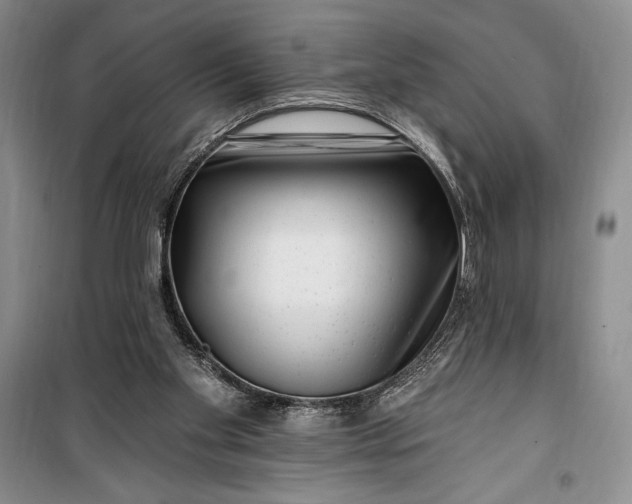 X0000100210109200806131301