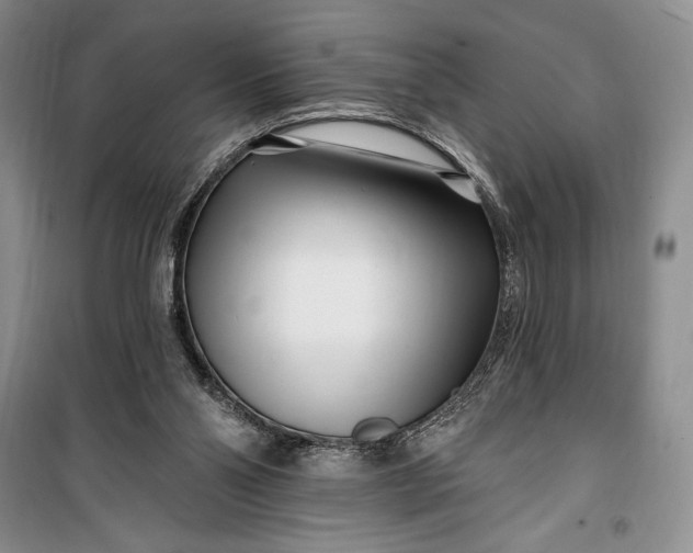 X0000100210110200806131301