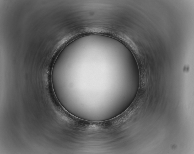 X0000100210111200806131301