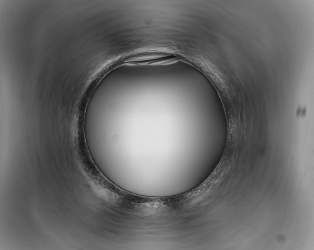 X0000100210112200806131301