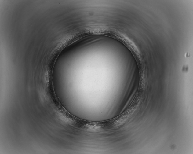 X0000100210113200806131301