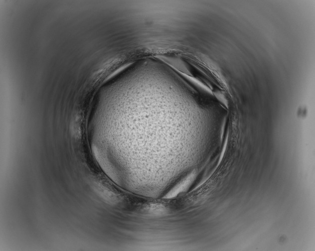 X0000100210114200806131301