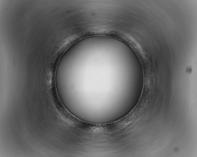 X0000100210115200806131301