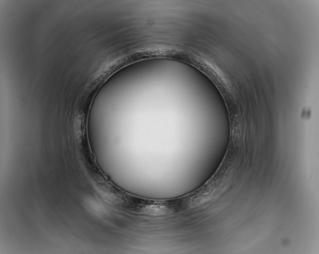 X0000100210119200806131301