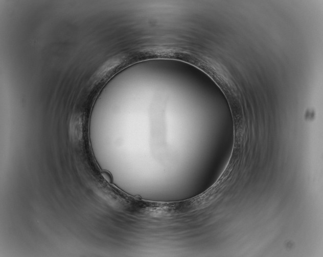 X0000100210120200806131301