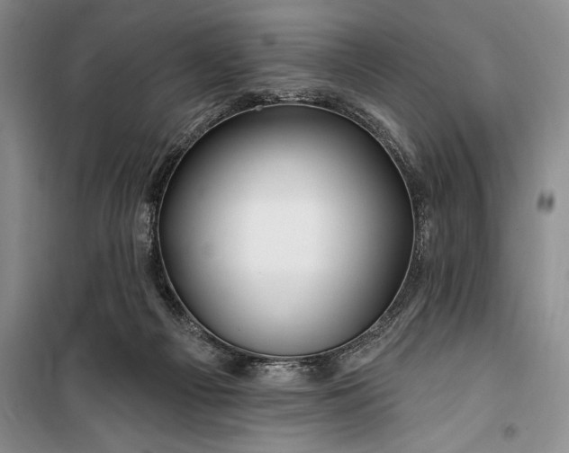 X0000100210121200806131301