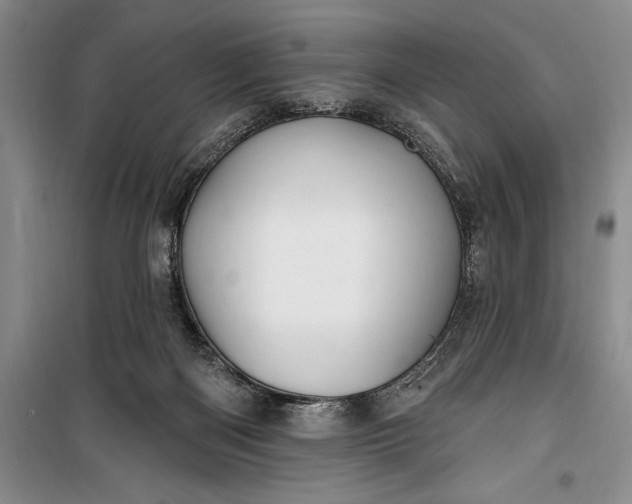 X0000100210122200806131301