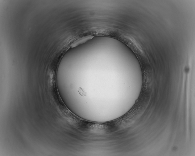 X0000100210123200806131301