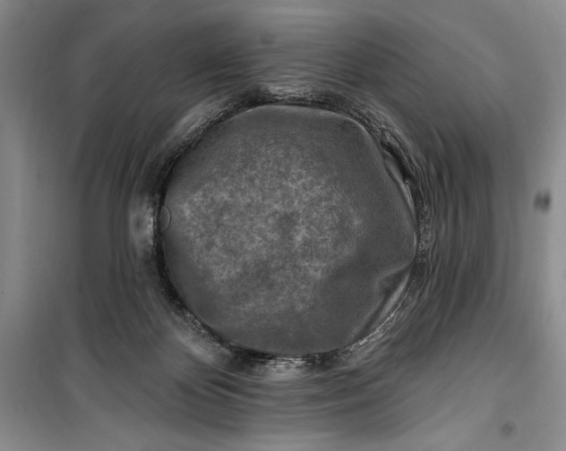 X0000100210124200806131300