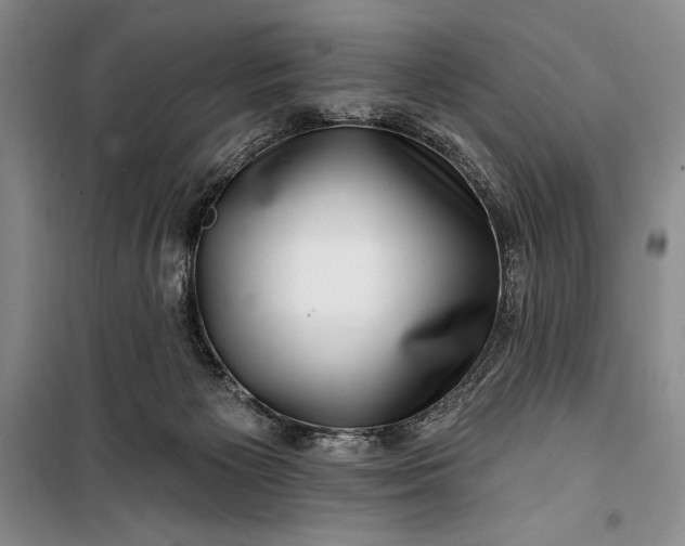 X0000100210125200806131300