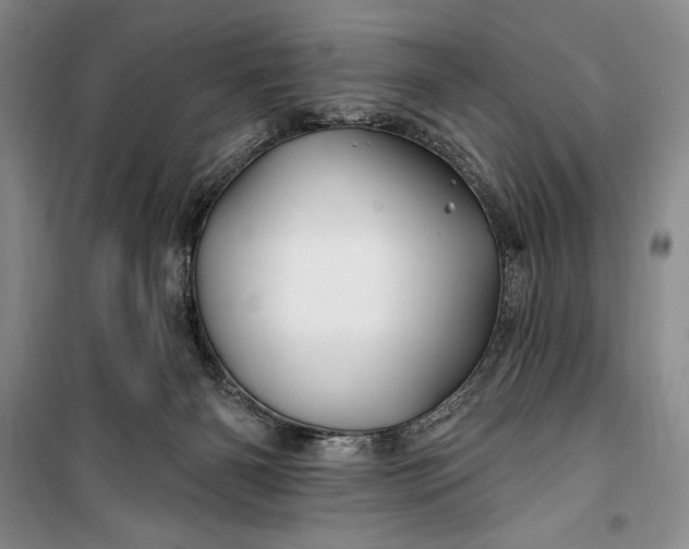 X0000100210126200806131300