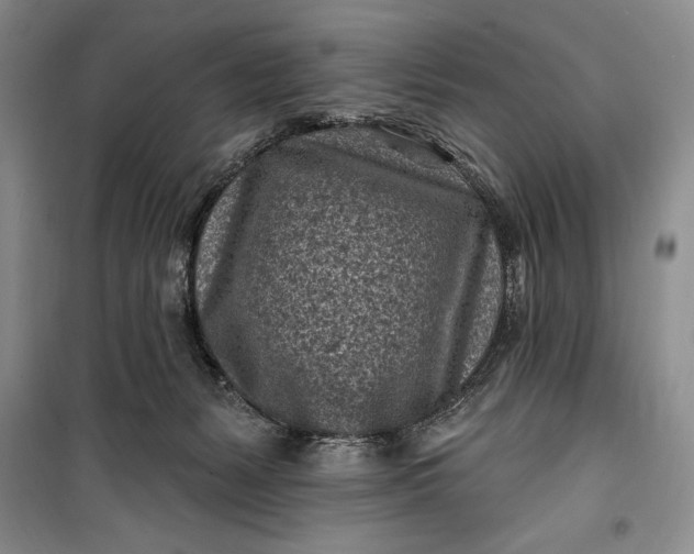 X0000100210127200806131300