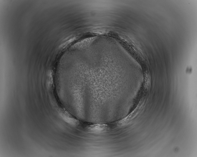 X0000100210128200806131300