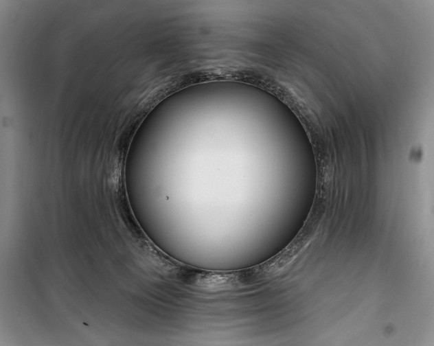 X0000100210129200806131300