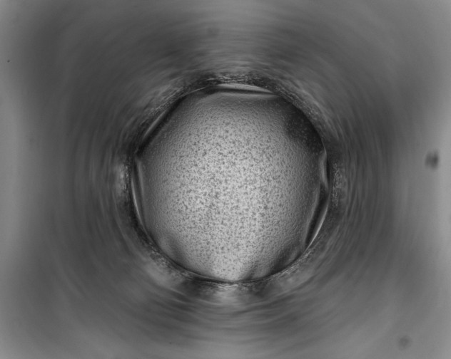 X0000100210130200806131300