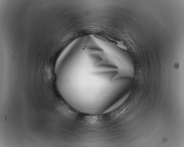 X0000100210131200806131300