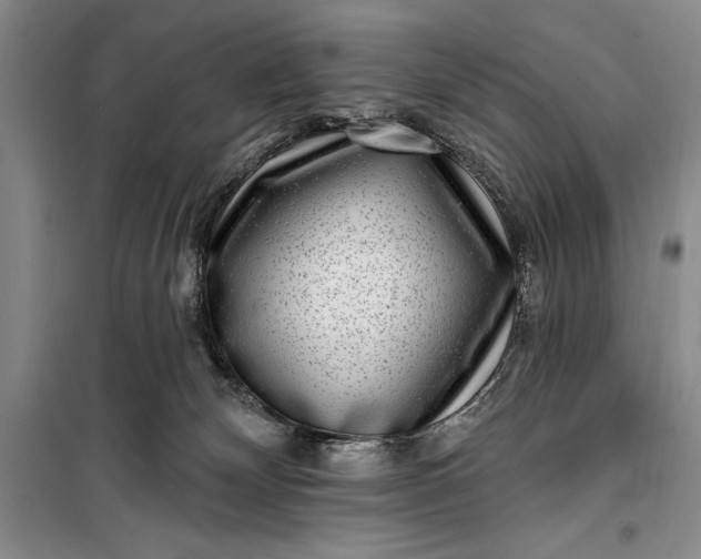 X0000100210132200806131300