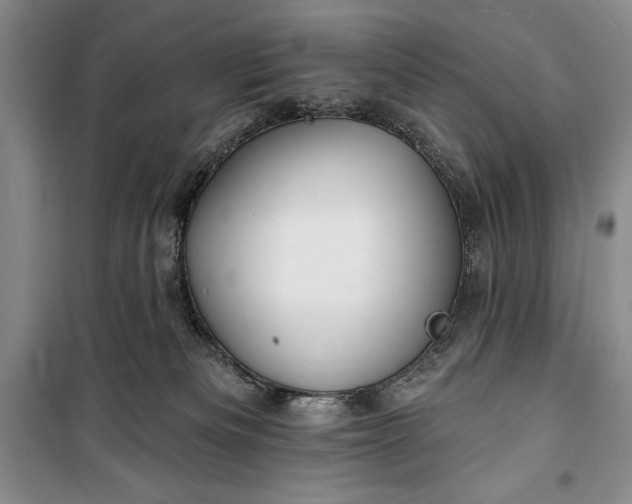 X0000100210133200806131300