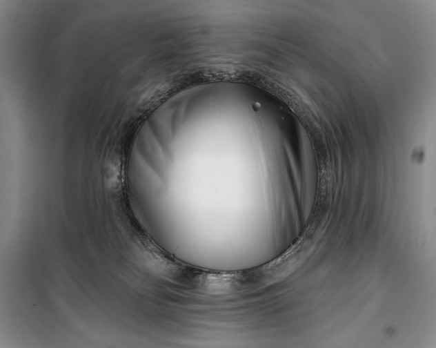 X0000100210134200806131300