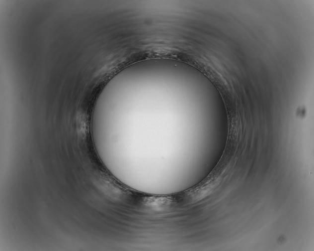 X0000100210135200806131300