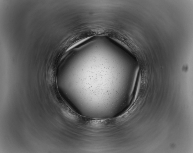 X0000100210136200806131300