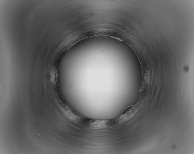 X0000100210138200806131300