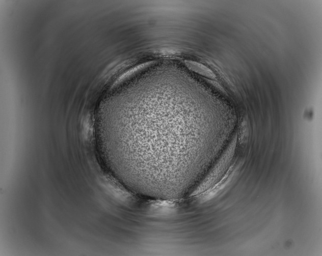 X0000100210140200806131300