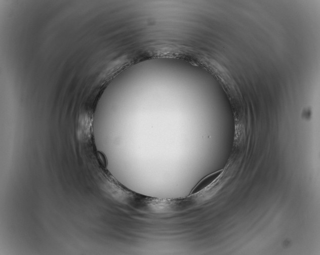 X0000100210142200806131300