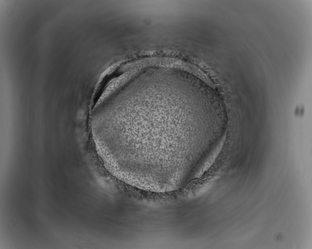 X0000100210144200806131300