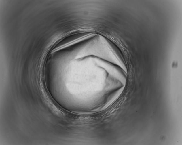 X0000100210145200806131300