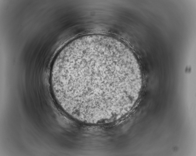 X0000100210146200806131300