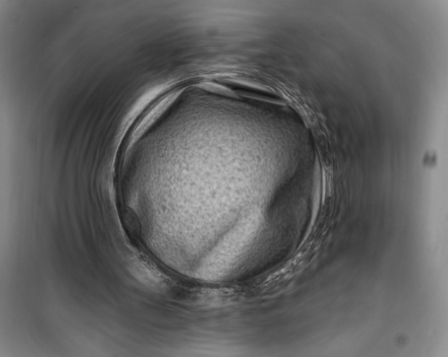 X0000100210147200806131300