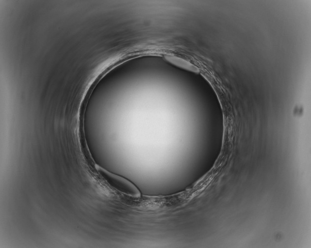 X0000100210148200806131300