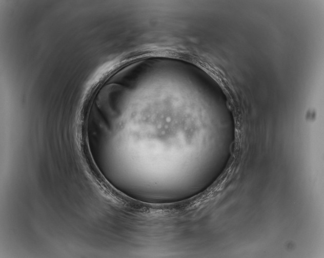 X0000100210149200806131300