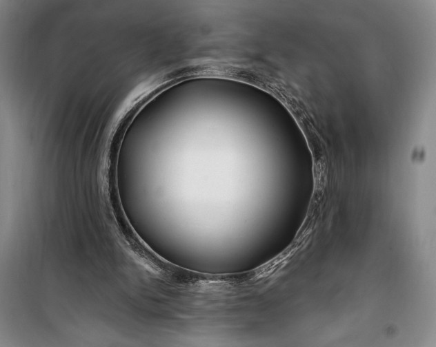 X0000100210150200806131300