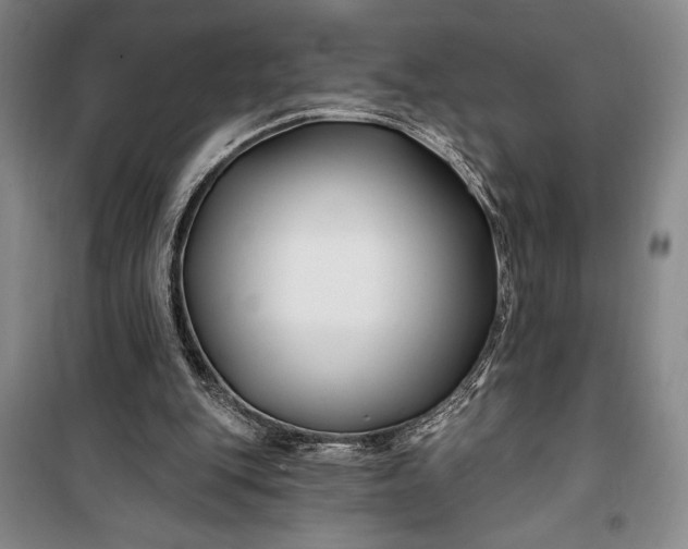 X0000100210151200806131300