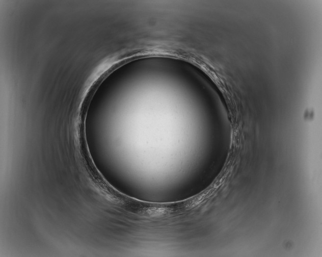 X0000100210152200806131300