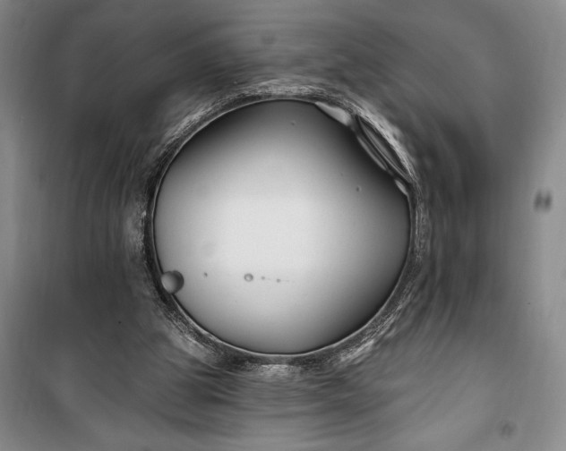 X0000100210153200806131300