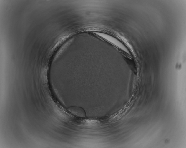 X0000100210154200806131300