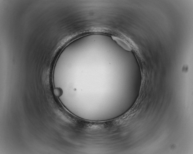 X0000100210155200806131300