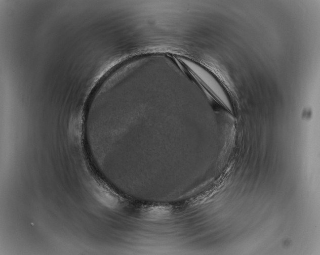 X0000100210156200806131300