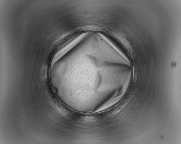 X0000100210157200806131300