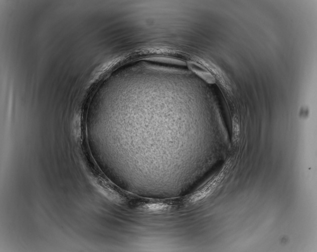 X0000100210158200806131300