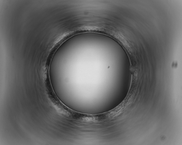 X0000100210160200806131300