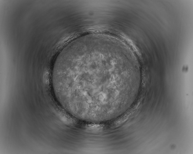 X0000100210161200806131300