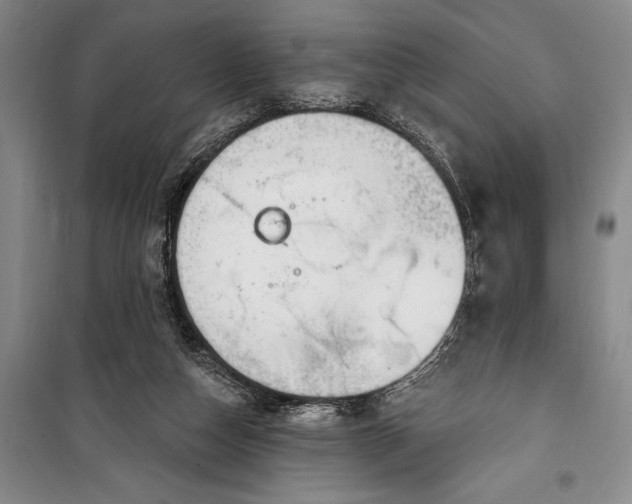 X0000100210162200806131300