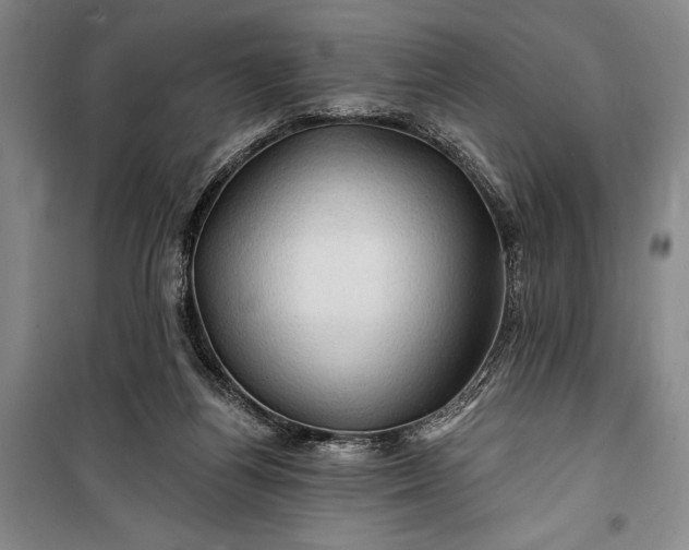 X0000100210164200806131300