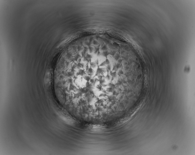 X0000100210165200806131300