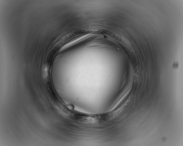 X0000100210166200806131300